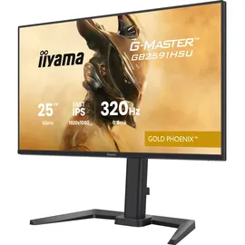 Iiyama G-Master Gold Phoenix GB2591HSU-B1 24,5"