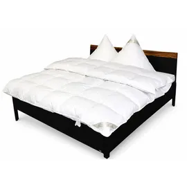Betten Hofmann Kuscheliges Daunenbett Daunendecke 6x7 240x220 cm warme Ganzjahresdecke