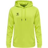 Core XK Poly Hoodie Herren lime popsicle XL