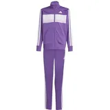 adidas Tiberio Trainingsanzug Active Purple/White 164