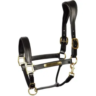 Harry's Horse Halfter