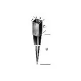 schmidt's onlineshop Einschlagbodenhülse tzn 101x900/950 Stärke 2,0mm