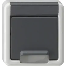 Gira Schuko-Steckdose Aufputz Grau 1 St.