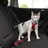Trixie Auto-Geschirr Katzengeschirr 20–50 cm Rot