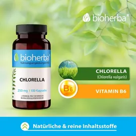 Bioherba Chlorella Kapseln 100 St.