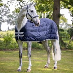 LeMieux Arika Liner 100g, 168