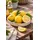 Blumen-Senf Yuzu Pflanze Citrus x junos) 70-100 cm winterhart bis -12°C veredelt frostharte japanische Zitrone Zitruspflanze Garten Balkon
