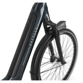 Gazelle Arroyo C5 Elite 2025 28 Zoll RH 53 cm Damen grau