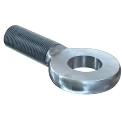 Augenschraube AG 10x25
