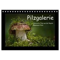 Calvendo Pilzgalerie - Heimische Pilze aus der Region Rheinland-Pfalz