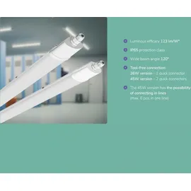 Spectrum LED SpectrumLED Leuchte Limea Mini 36W IP65 120 cm