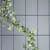 Siena Garden Spalier 3-strebig 150 x 45 cm Grün