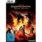 Dragon's Dogma: Dark Arisen (PC)