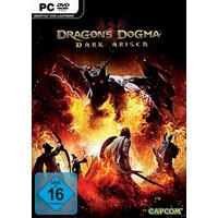 Dragon's Dogma: Dark Arisen (PC)