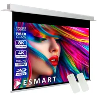 eSmart Expert CSX Deckeneinbau Leinwand 170 x 127 cm (84") 4:3