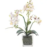 Homescapes - Künstliche Weiße Phalaenopsis-orchidee im Glas-Topf, 42 cm