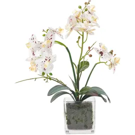Homescapes - Künstliche Weiße Phalaenopsis-orchidee im Glas-Topf, 42 cm