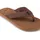 O'Neill Koosh Falcon 45