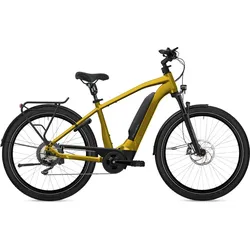 Flyer Upstreet3 7.10 Gold Modell 2023
