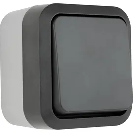 REV Ritter REV Komplett Taster AquaStorm Hellgrau, Schwarz 0004310400 1St.