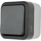 REV Ritter REV Komplett Wechselschalter AquaStorm Hellgrau, Schwarz 0004300400 1St.