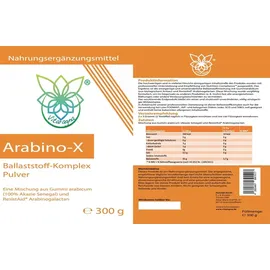 VITARAGNA Arabino-X Ballaststoff-Komplex Pulver 300 g