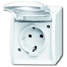 Busch-Jaeger Schuko-Steckdose 20 EWN-54 Alpinweiß