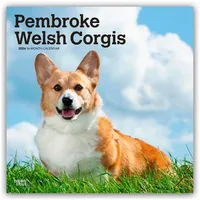 Browntrout Verlags GmbH Pembroke Welsh Corgis - Pembroke Welsh
