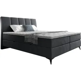 Mirjan24 Boxspringbett Forever, Bett mit zwei Bettkästen, Stilvoll Schlafzimmer Polsterbett (Fresh 32, Größe: 160x200 cm) - Grau