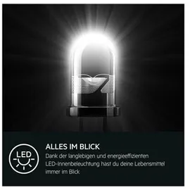 AEG TSK5O121DF Einbaukühlschrank (203 l, 1224 mm hoch)