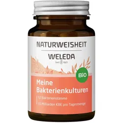 Naturweisheit Bakterienkultur