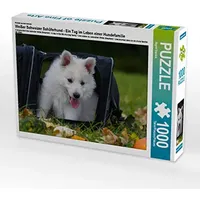 Calvendo Puzzle Weißer Schweizer Schäferhund - Ein Tag im