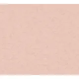 A.S. Création Vliestapete Exotic Life 10,05 M x 0,53 M 372841 Rosa
