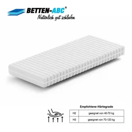Betten-ABC KSP-500 120 x 200 cm H2