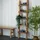 DESIGN DELIGHTS LEITERREGAL Natur, Holz, 38x170x10 cm, Wohnzimmer,, |