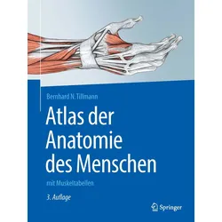 Atlas der Anatomie des Menschen Buch 1 St