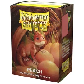 Arcane Tinmen Dragon Shield Matte Dual Wisdom (100)