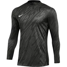 Nike Dri-FIT Gardien V langarm Torwarttrikot Herren 060 anthracite/black/white M