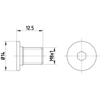 Textar Schraube, Bremsscheibe TEXTAR TPM0002