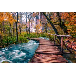Fototapete PAPERMOON "Steg im Wald", bunt, B:4,50m L:2,80m, Vlies, Tapeten