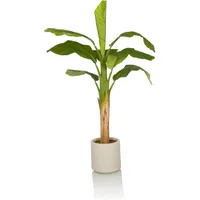 HJH Office Kunstpflanze BANANE I 150 cm Grün