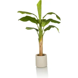 HJH Office Kunstpflanze BANANE I 150 cm Grün