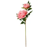 Hti-Living Pfingstrose Rosa 71 cm Kunstblume Flora