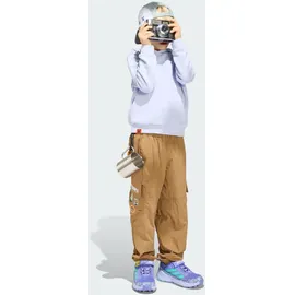 adidas Minecraft Terrex Braun 164