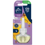 Glade Electric Scented Oil Duftstecker Nachfüller 20 ml
