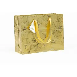 Clairefontaine 5x Geschenktasche Premium Shopping 32x13x24,5cm, Kollektion Trésor - Gold 212850C