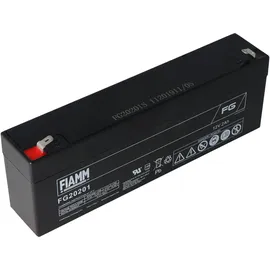 Fiam Bleiakku 12V 2000 mAh 1 St.