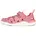 Peony Rose 26