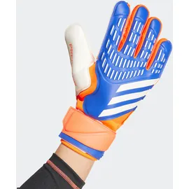 adidas Predator Match Torwarthandschuhe Lucid Blue / Solar Red / White 9