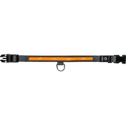 Blaser Hundehalsband LED